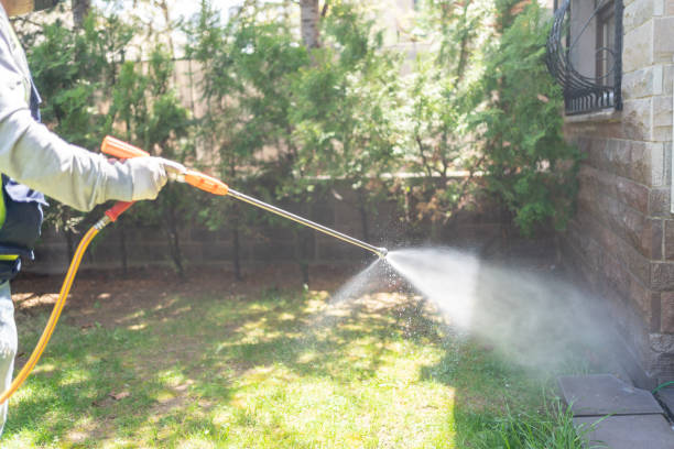 Best Organic or Eco-Friendly Pest Control  in Holtville, AL